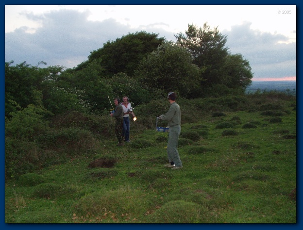 600x449 pixels (125K)